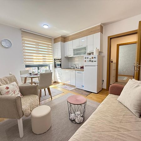 Aleksandar Apartman Sokobanja Zewnętrze zdjęcie