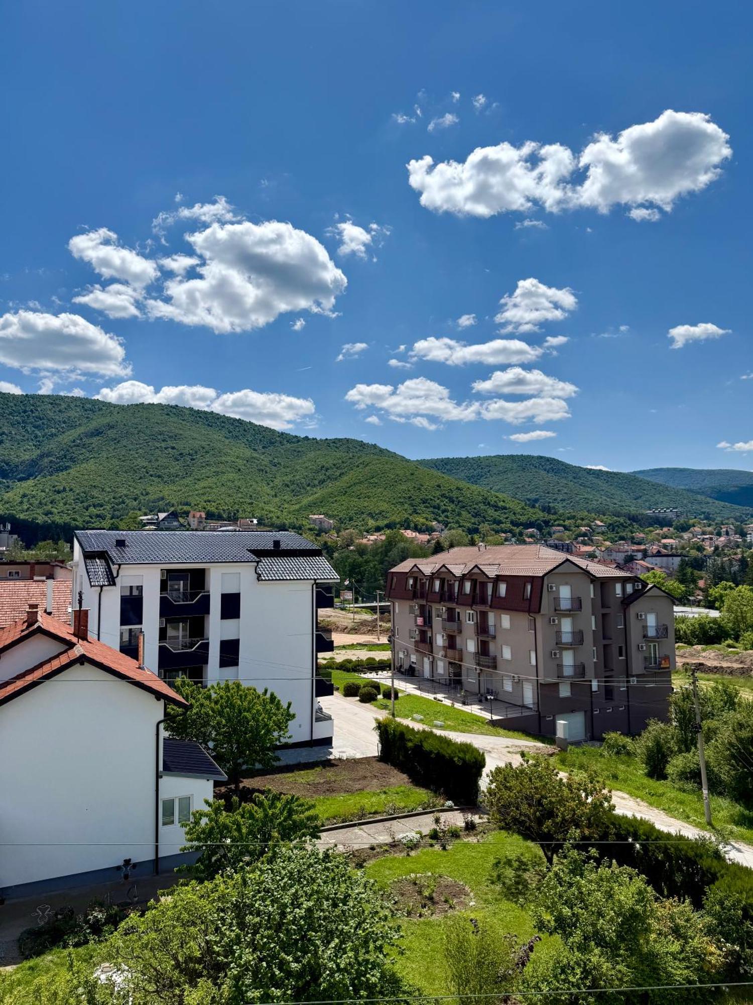 Aleksandar Apartman Sokobanja Zewnętrze zdjęcie